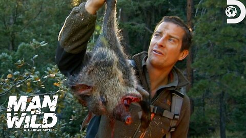 Bear Grylls' Jaw-Dropping Hunt for a Wild Pig | Man Vs. Wild | Discovery