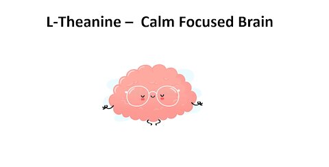 L Theanine - Meditation Brain Waves
