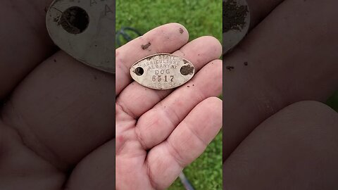 65 dog tag #silver #shorts #coins #buttons #trending #metaldetecting #civilwar #gold #relics