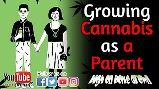 Growing Cannabis as a Parent | Cannabis News & Events | Questions and Answers | #130