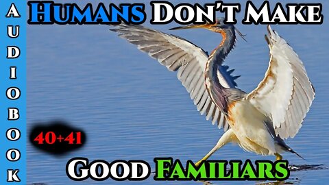 HUMANS ARE CHAOS - Humans Don't make Good Familiars (Ongoing) - Ch.41+42 | HFY | Fantasy |