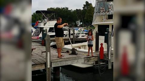 "Dog Jumps To Get Fish From Fishing Rod But Falls Off Dock"