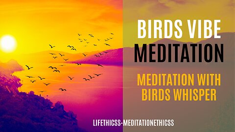 "Unique Meditation Music with Blissful Bird Sounds | Nature Meditation for Relaxation & Mindfulness"