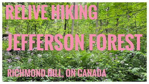 Relive Hiking | Jefferson Forest | Oak Ridges Corridor Conservation Reserve