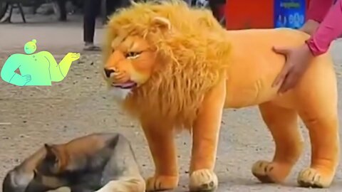 Fake Loin Prank to Dog