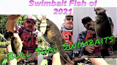 Swimbait Smallmouth of 2021