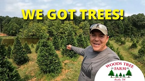 Starting To Look Like a REAL Tree Farm Around Here!