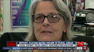 Report: people at higher risk of suicide in rural areas, near gun shops