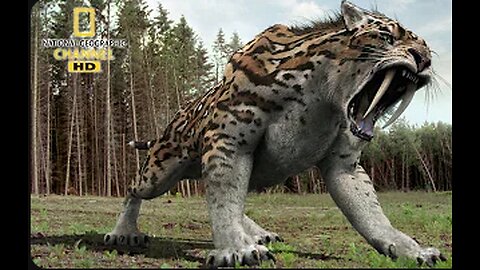 Prehistoric predators - Wildlife Animals
