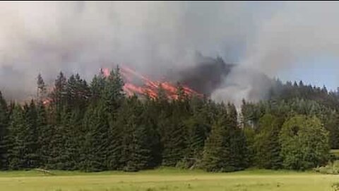 Un incendie soudain se déclare dans l'Oregon