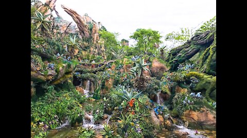 Stepping into Pandora — The World of Avatar