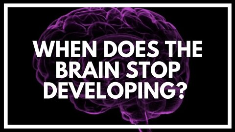Does The Human Brain Ever Stop Developing?