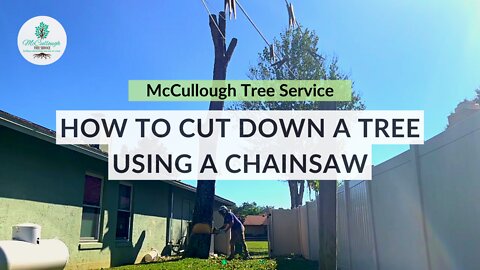How to Cut Down a Tree Using A Chainsaw