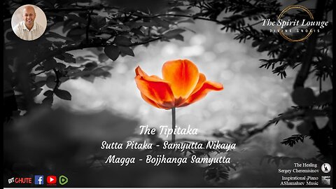 The Tipitaka- Sutta Pitaka - Samyutta Nikaya: Magga - Bojjhanga Samyutta