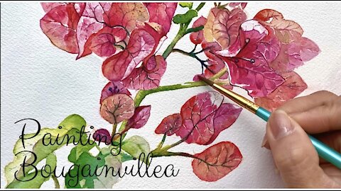 Painting Bougainvillea Flower in watercolor | Painting Flower