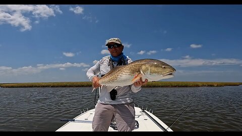 40 Inch Bull Redfish on the Fly!