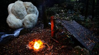 Bushcraft Camping and Lions Mane Mushroom. Overnight tarp shelter and Fall foraging Recipes fortnite