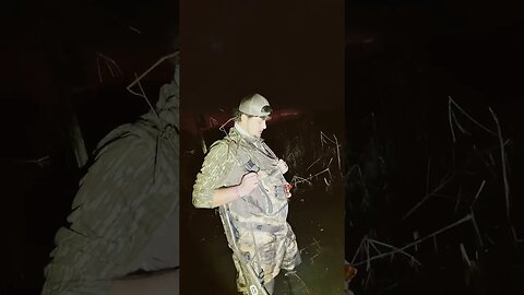 American coot hunter/mallard hunter #duckhunting #publicland #southgeorgia #shorts