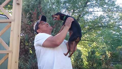 Dog reunites with previous owner after 2 years