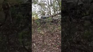 Ukrainian Special Forces Capture Russian Tank #shorts