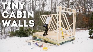 Raising the Cabin Walls - Micro Cabin that you can build Ep.3