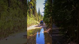 MY JEEP LOVES THE PUDDLES 😁😜 #shorts