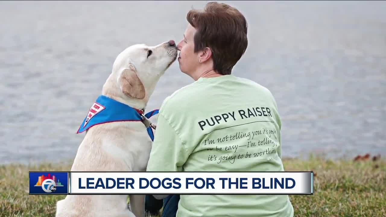 7 in Your Neighborhood: Leader dogs for the blind