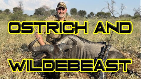 Hunting for Ostrich & Wildebeest in South Africa