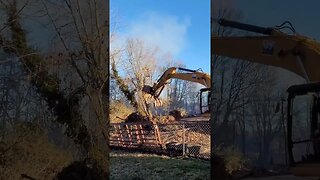 Removing Trees Dangerously Close to the House