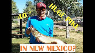 Fishing at Eagles Nest State Park NM, Huge Pike! -Spoonplugging