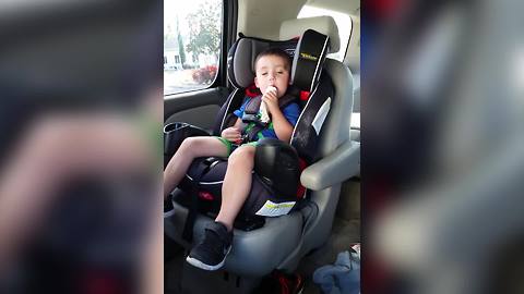 Funny Tot Boy Falls Asleep As He Eats Ice Cream In A Car