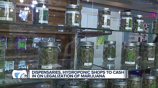 Businesses seeing dollar signs after voters choose legalization of marijuana