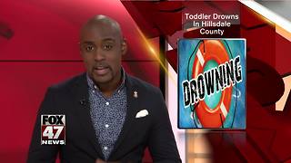 Toddler drowns in Hillsdale County pond