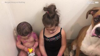 Une fillette recouvre son frère et son chien de rouge à lèvres