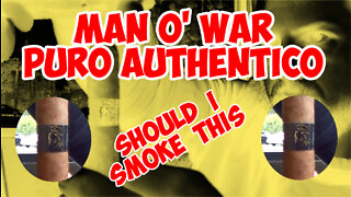 60 SECOND CIGAR REVIEW - Man O' War Puro Authentico