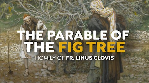The Parable of the Fig Tree ~ Fr. Linus Clovis
