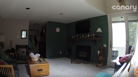 Family Looks at Security Camera Footage and Sees Something Very Unusual