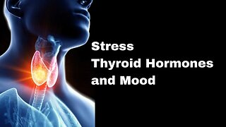 Stress, Thyroid, Hormones, and Mood
