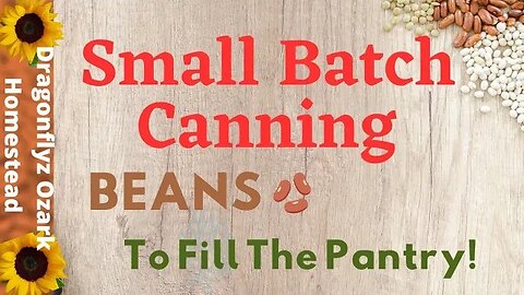Small Batch Canning Beans How To