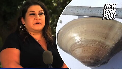 Mom fined $88K after kids collect 72 clams from California beach thinking they were seashells: 'Ruined our trip'