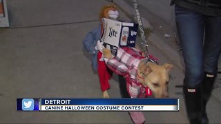 Canine costume contest in Detroit