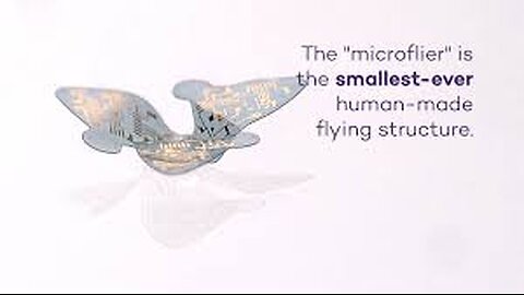 Microfliers : Smallest Flying Microchips Used For Disease Monitoring And Population Surveillance?!?