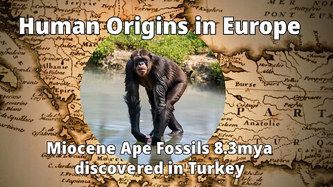 8.3 million year old Miocene Ape fossil discovered in Anatolia