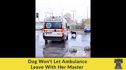 Dog Won't Let Ambulance Leave With Her Master