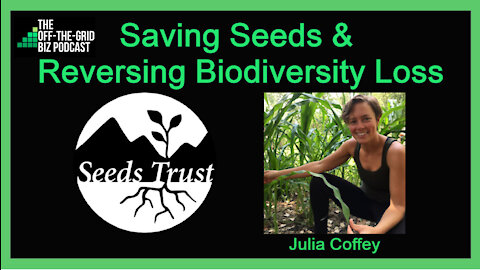 Seeds Trust - Saving Seeds & Reversing Biodiversity Loss