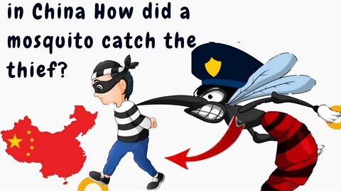 in China How did a mosquito catch the thief?