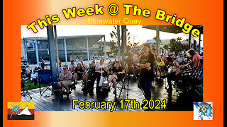 This Week At The Bridge - Part 1 Tine - EVs, Rip Curl, Our Gender Statement