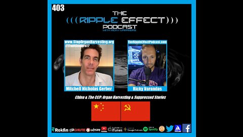 The Ripple Effect Podcast #403 (Mitchell Gerber | Organ Harvesting & Suppressed Stories)