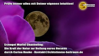 Erzengel Muriel Channeling - Die Kraft der Natur zur Heilung eures Herzens - durch Carina Hauke