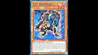 Yu-Gi-Oh! Duel Links - T.G. Warwolf Gameplay (Box No. 33 Antinomic Theory SR Card)